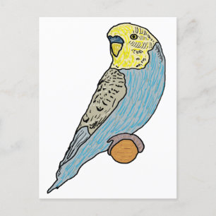 Budgie Postcard