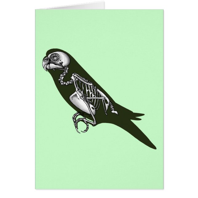 Budgie skeleton (Front)