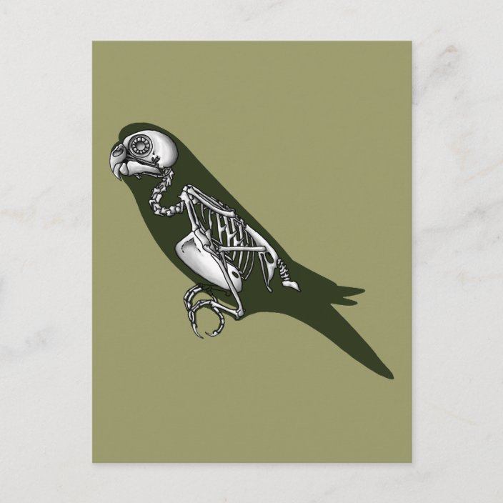 Budgie skeleton postcard | Zazzle.com.au