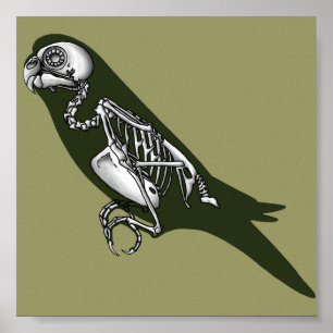 Budgie skeleton poster