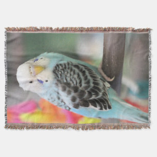 Budgie Throw Blanket