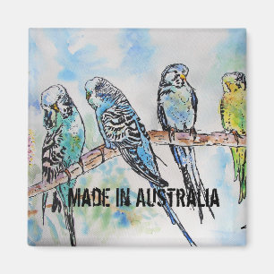 Budgie Watercolour Bird Cute Made In Australia Magnet