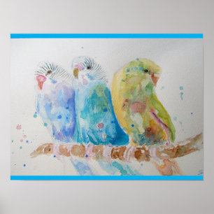 Budgie Watercolour Painting bird Budgies Aqua Teal Poster