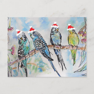 Budgie Watercolour Painting bird Budgies Christmas Postcard