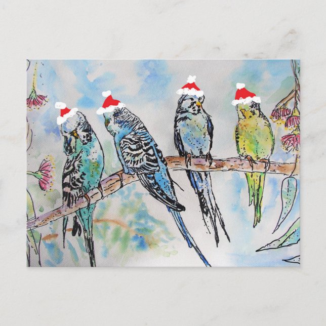 Budgie Watercolour Painting bird Budgies Christmas Postcard (Front)