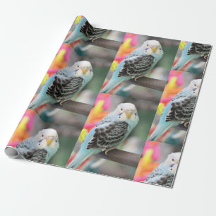 Budgie Wrapping Paper