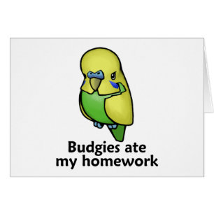 Budgies ate my homework