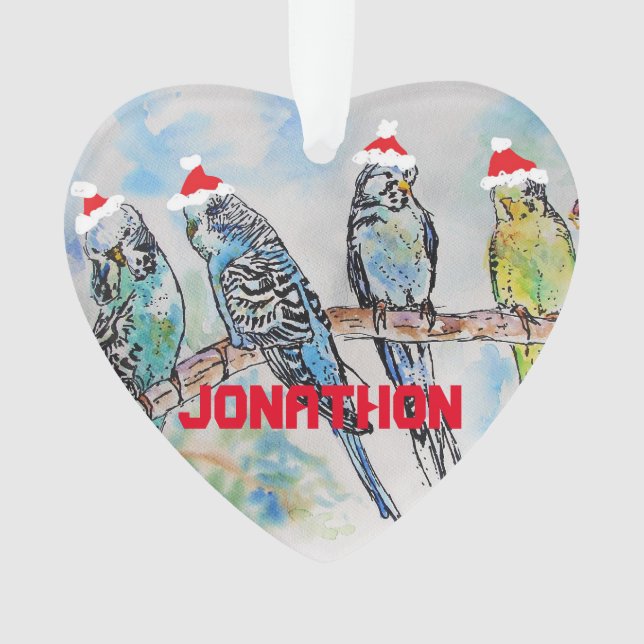 Budgies Budgie Christmas Childs Name Decoration (Front)