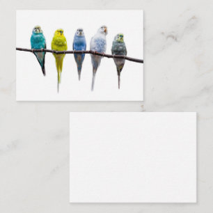 Budgies Business Card