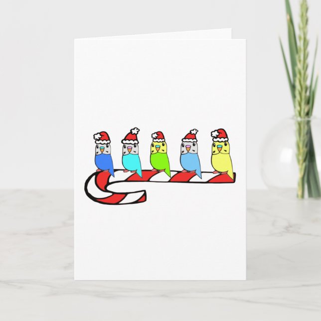 Budgies- Christmas Holiday Card (Front)