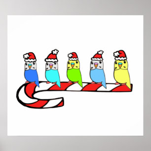 Budgies- Christmas Poster