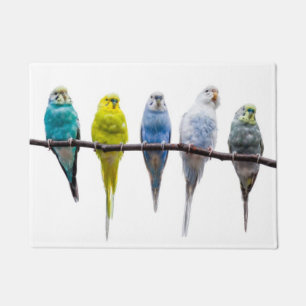 Budgies Doormat