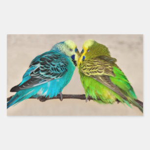 Budgies in Love Sticker