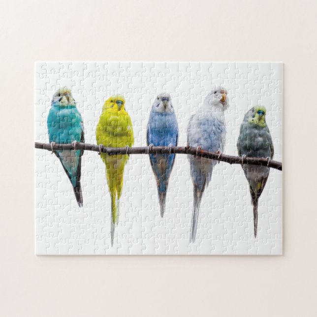 Budgies Jigsaw Puzzle (Horizontal)