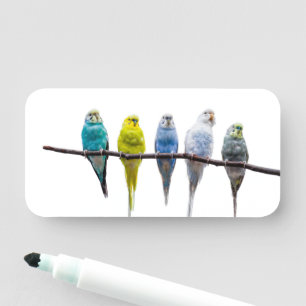 Budgies Name Tag