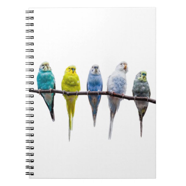 Budgies Notebook (Front)
