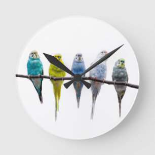 Budgies Round Clock