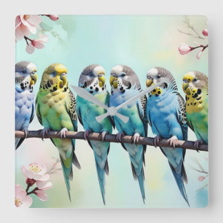 Budgies  square wall clock
