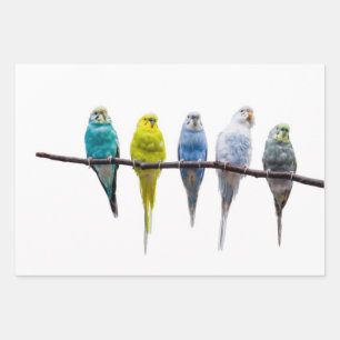 Budgies Wrapping Paper Sheet