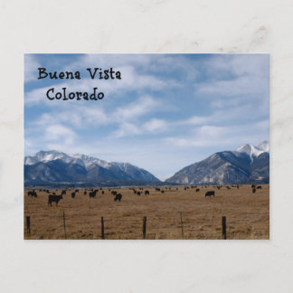 Buena Vista, CO Postcard