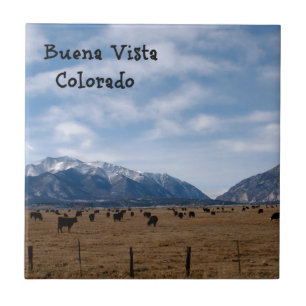 Buena Vista, CO Tile