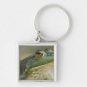 Bufallo National River, Northwest Arkansas Key Ring