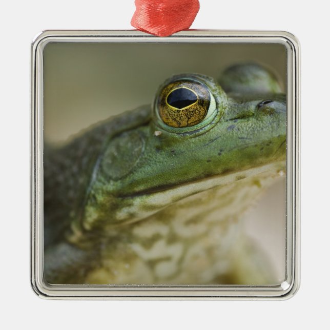 Bufallo National River, Northwest Arkansas Metal Ornament (Front)