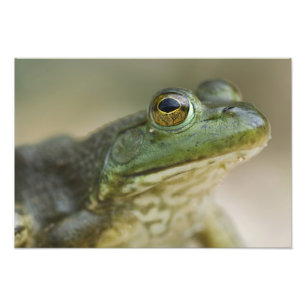 Bufallo National River, Northwest Arkansas Photo Print