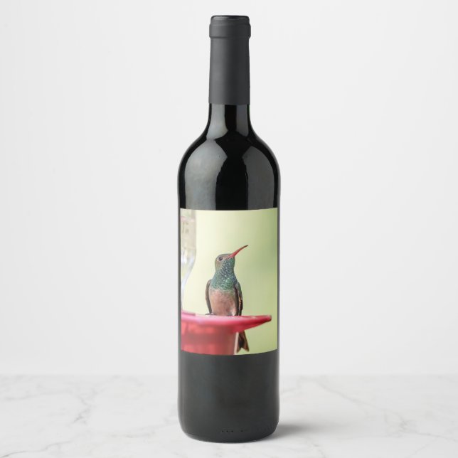 Buff-bellied hummingbird in Texas Wine Label (Front)