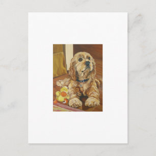 Buff Cocker Spaniel Postcard