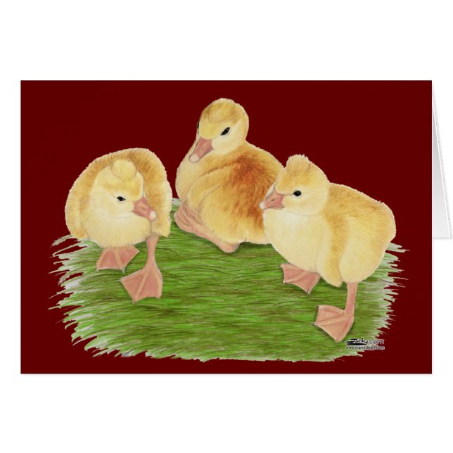 Buff Goslings Tufted (Front Horizontal)