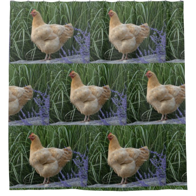 Buff Orpington Chicken Shower Curtain (Front)