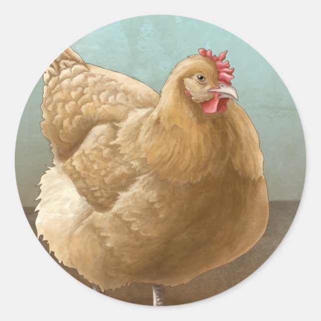 Buff Orpington Hen  Stickers (Front)