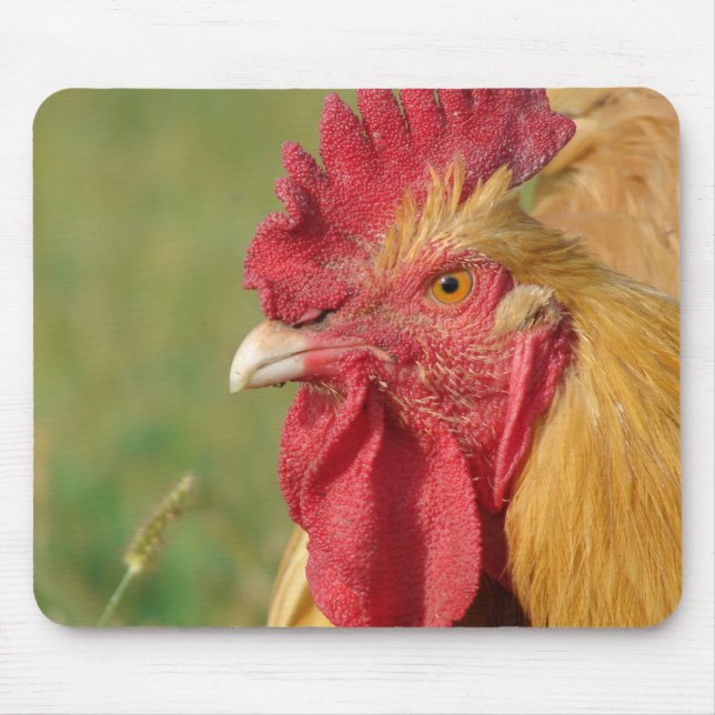 Buff Rooster Mouse Pad (Front)