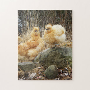 Buff silkie chickens jigsaw puzzle