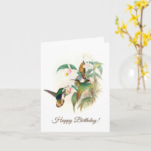 Buff-tailed Velvet-breas, Happy birthday Card