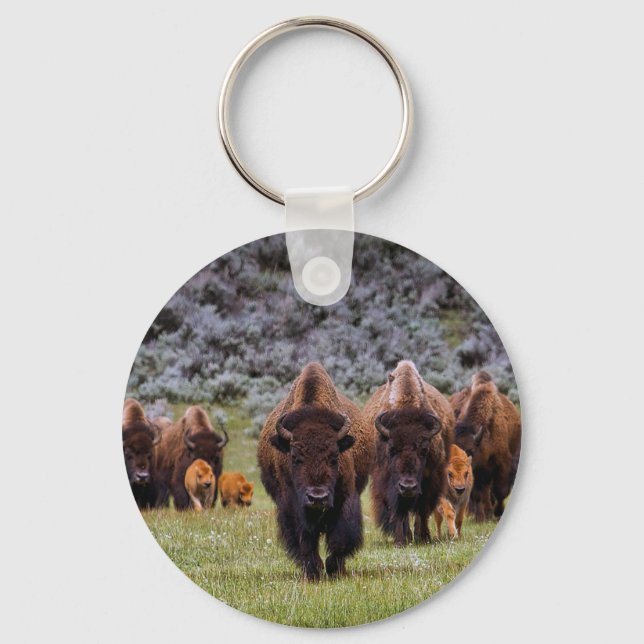 Buffalo 2 key ring (Front)