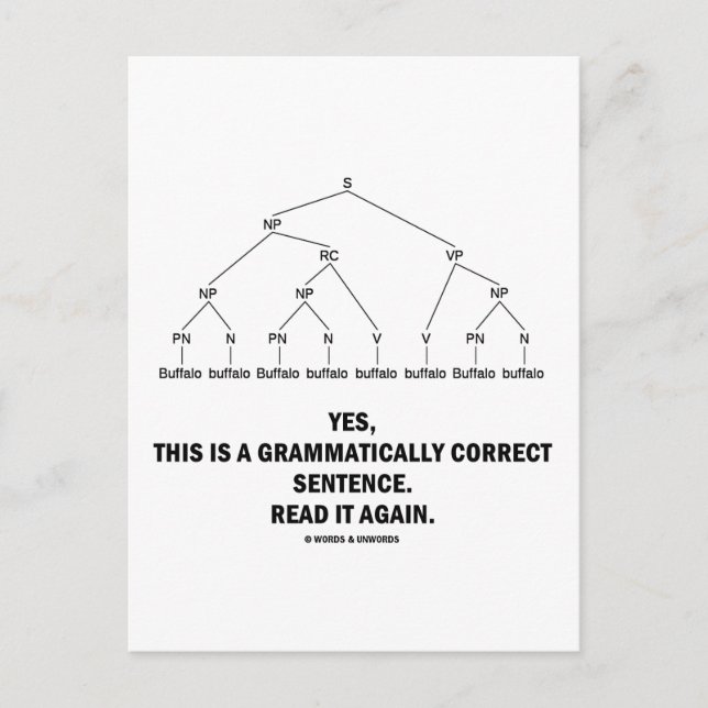 Buffalo (8 Times) Grammatically Correct Sentence Postcard (Front)