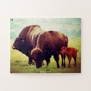 Buffalo and Calves Jigsaw Puzzle