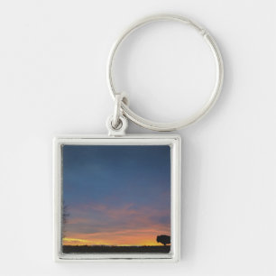 Buffalo At Sunset In Elk Island National Park Key Ring