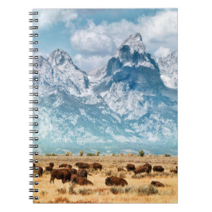 Buffalo Below the Grand Teton Mountains Notebook