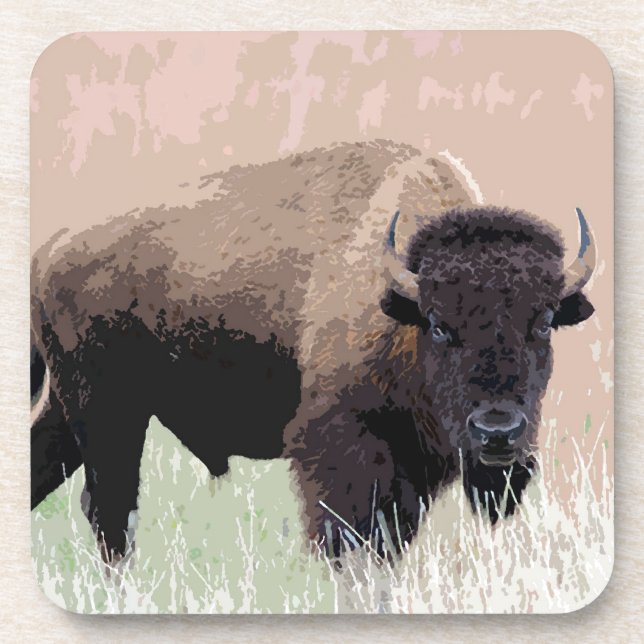 Buffalo / Bison Coaster (Front)