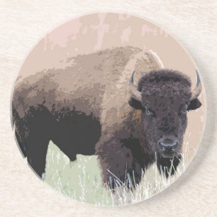 Buffalo / Bison Coaster