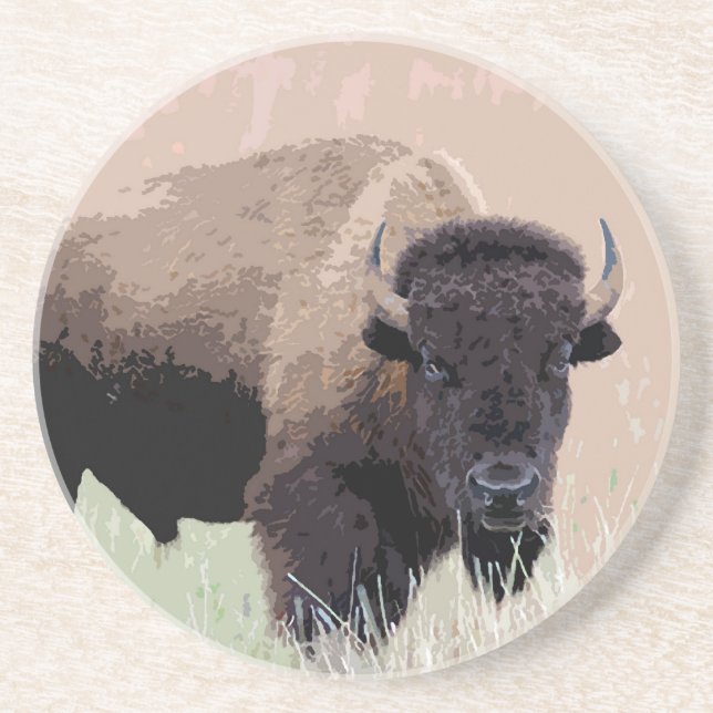 Buffalo / Bison Coaster (Front)