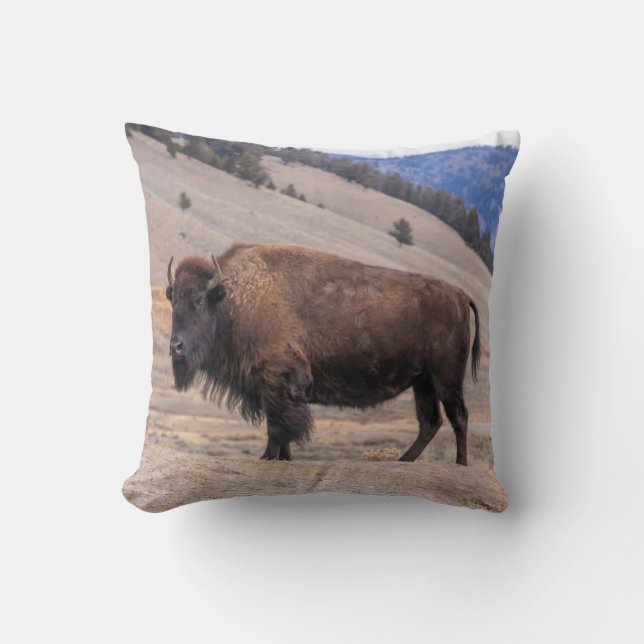 Buffalo Bison Cushion (Front)