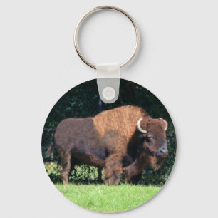 Buffalo (Bison) Kansas, Oklahoma, Wyoming Key Ring