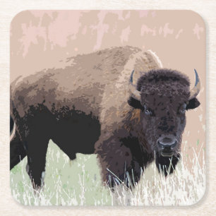 Buffalo / Bison Square Paper Coaster