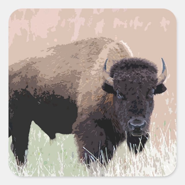 Buffalo / Bison Square Sticker (Front)