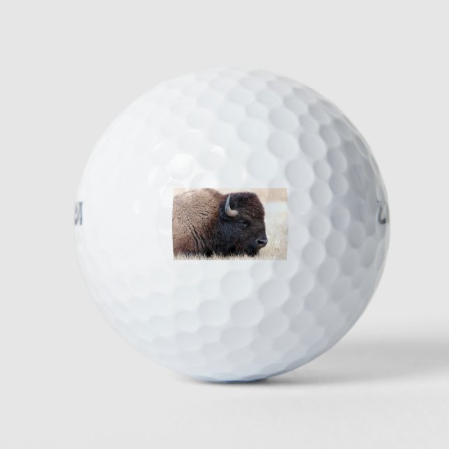 Buffalo Bison Up Close Golf Balls (Front)