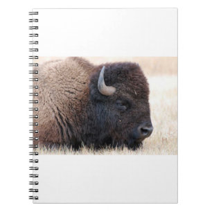 Buffalo Bison Up Close Notebook